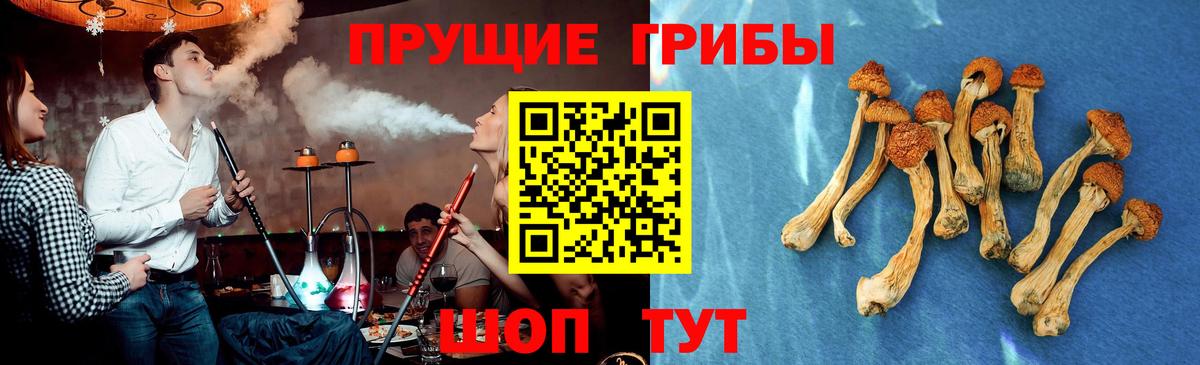 Радужный  Галлюциногенные грибы ЛСД  Вход с VPN 